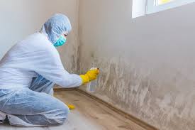 Best Mold Remediation for Healthcare Facilities in Littlerock, CA